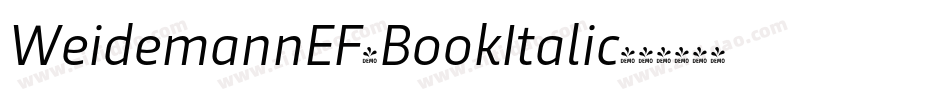WeidemannEF-BookItalic字体转换