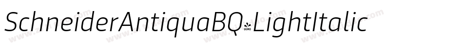 SchneiderAntiquaBQ-LightItalic字体转换