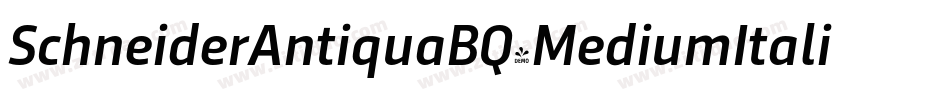 SchneiderAntiquaBQ-MediumItalic字体转换
