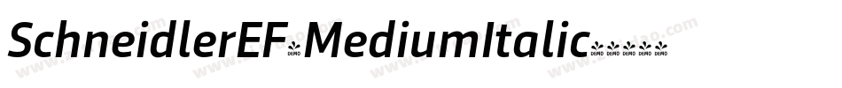 SchneidlerEF-MediumItalic字体转换
