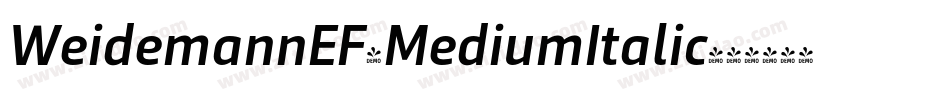 WeidemannEF-MediumItalic字体转换