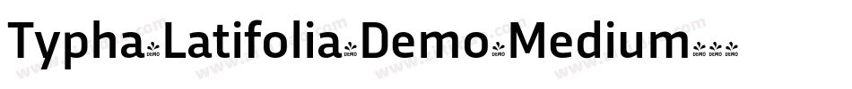 Typha-Latifolia-Demo-Medium字体转换