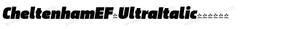 CheltenhamEF-UltraItalic字体转换