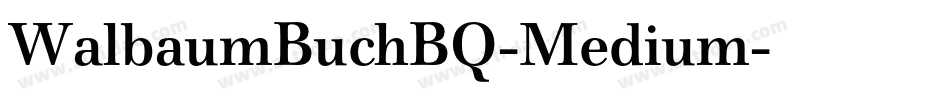 WalbaumBuchBQ-Medium字体转换