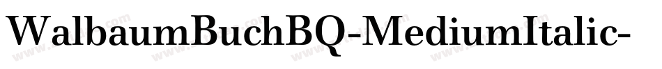 WalbaumBuchBQ-MediumItalic字体转换