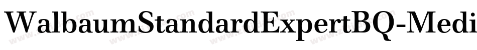 WalbaumStandardExpertBQ-Medium字体转换
