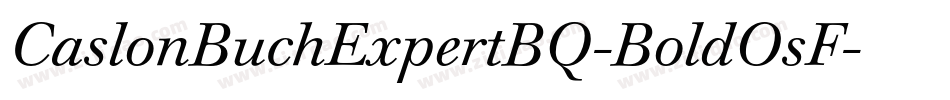 CaslonBuchExpertBQ-BoldOsF字体转换