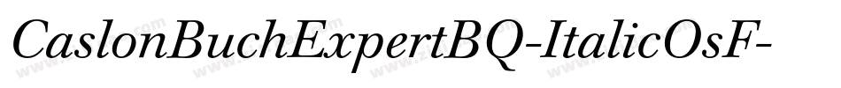 CaslonBuchExpertBQ-ItalicOsF字体转换
