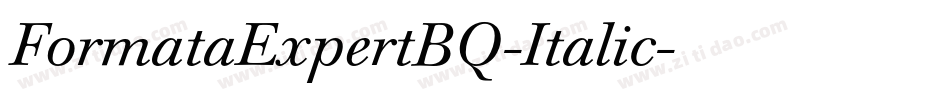 FormataExpertBQ-Italic字体转换