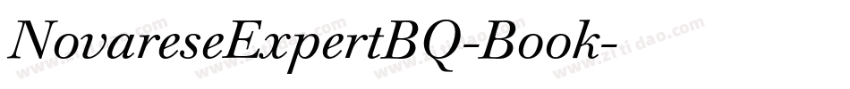 NovareseExpertBQ-Book字体转换