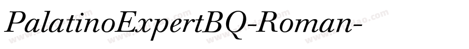 PalatinoExpertBQ-Roman字体转换