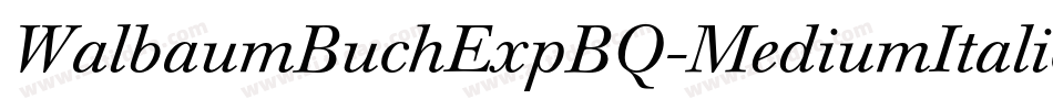 WalbaumBuchExpBQ-MediumItalicOsF字体转换