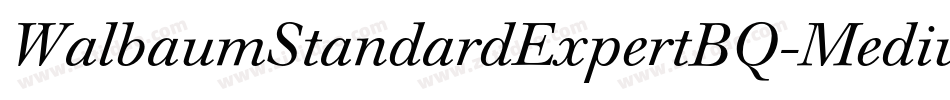 WalbaumStandardExpertBQ-Medium字体转换