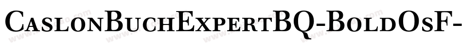 CaslonBuchExpertBQ-BoldOsF字体转换