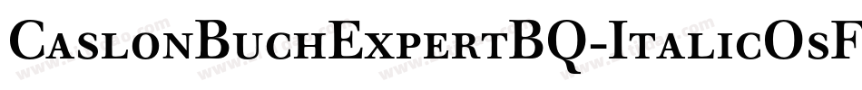CaslonBuchExpertBQ-ItalicOsF字体转换