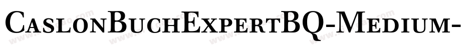 CaslonBuchExpertBQ-Medium字体转换