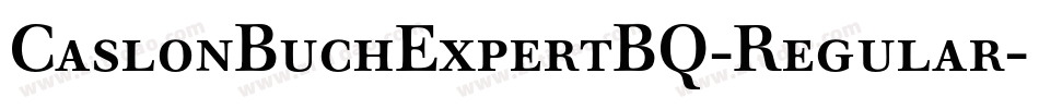CaslonBuchExpertBQ-Regular字体转换