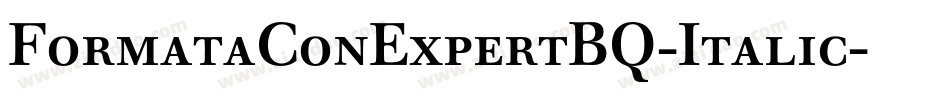 FormataConExpertBQ-Italic字体转换