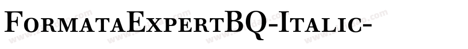 FormataExpertBQ-Italic字体转换