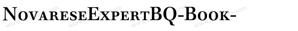 NovareseExpertBQ-Book字体转换