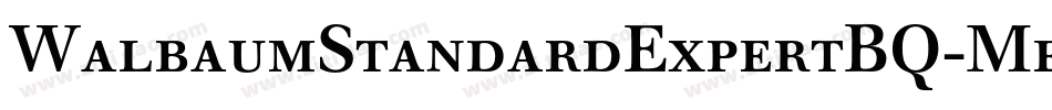 WalbaumStandardExpertBQ-Medium字体转换