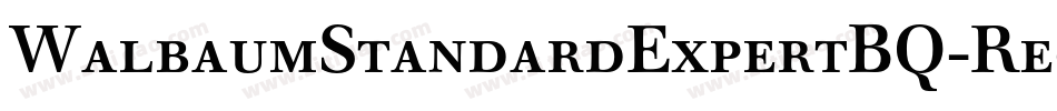 WalbaumStandardExpertBQ-Regular字体转换