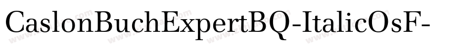 CaslonBuchExpertBQ-ItalicOsF字体转换