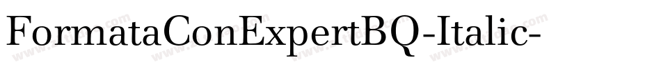 FormataConExpertBQ-Italic字体转换