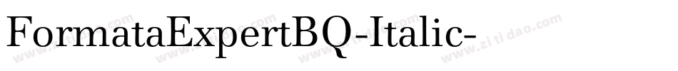 FormataExpertBQ-Italic字体转换