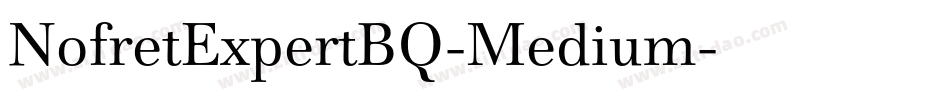 NofretExpertBQ-Medium字体转换