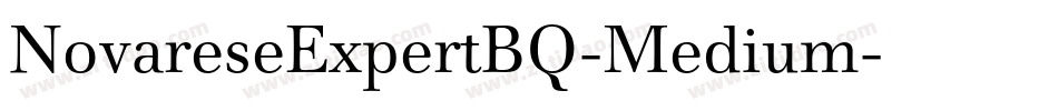NovareseExpertBQ-Medium字体转换