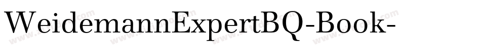 WeidemannExpertBQ-Book字体转换