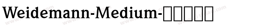 Weidemann-Medium字体转换