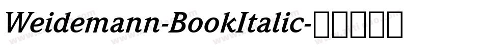 Weidemann-BookItalic字体转换