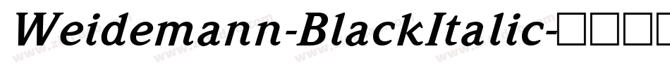 Weidemann-BlackItalic字体转换