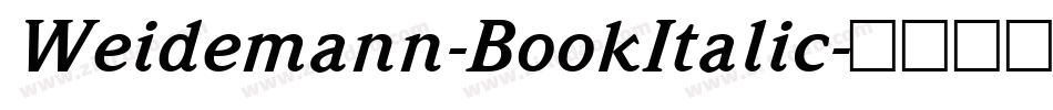 Weidemann-BookItalic字体转换