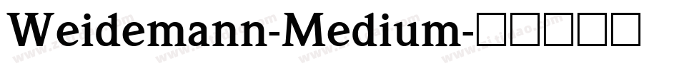 Weidemann-Medium字体转换