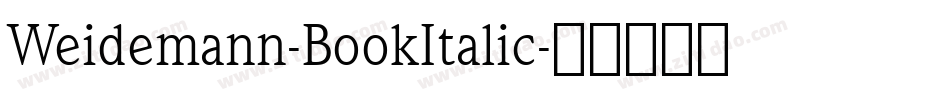 Weidemann-BookItalic字体转换