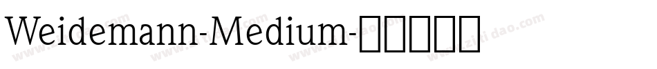 Weidemann-Medium字体转换