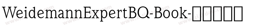 WeidemannExpertBQ-Book字体转换