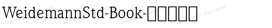 WeidemannStd-Book字体转换