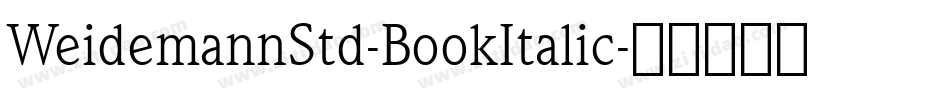 WeidemannStd-BookItalic字体转换
