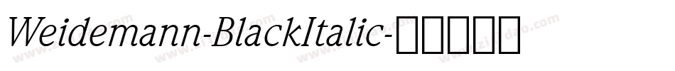 Weidemann-BlackItalic字体转换