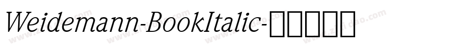 Weidemann-BookItalic字体转换