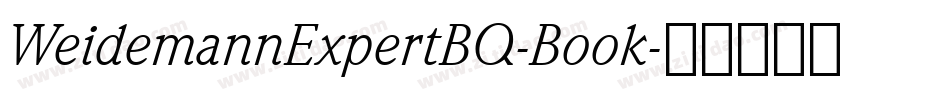 WeidemannExpertBQ-Book字体转换
