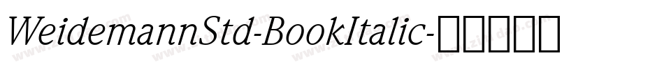 WeidemannStd-BookItalic字体转换