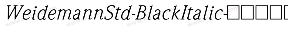 WeidemannStd-BlackItalic字体转换