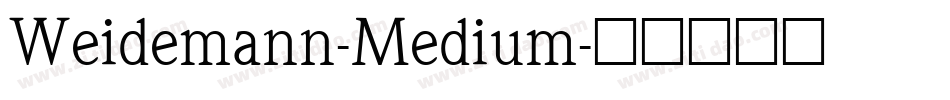 Weidemann-Medium字体转换
