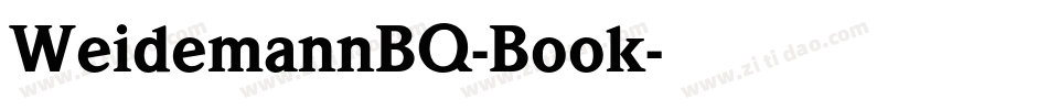 WeidemannBQ-Book字体转换