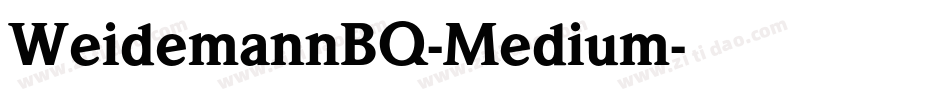 WeidemannBQ-Medium字体转换